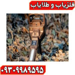 ردیاب گلد ویژن