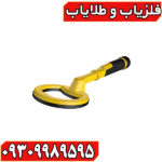 پین پوینتر پالس دایو